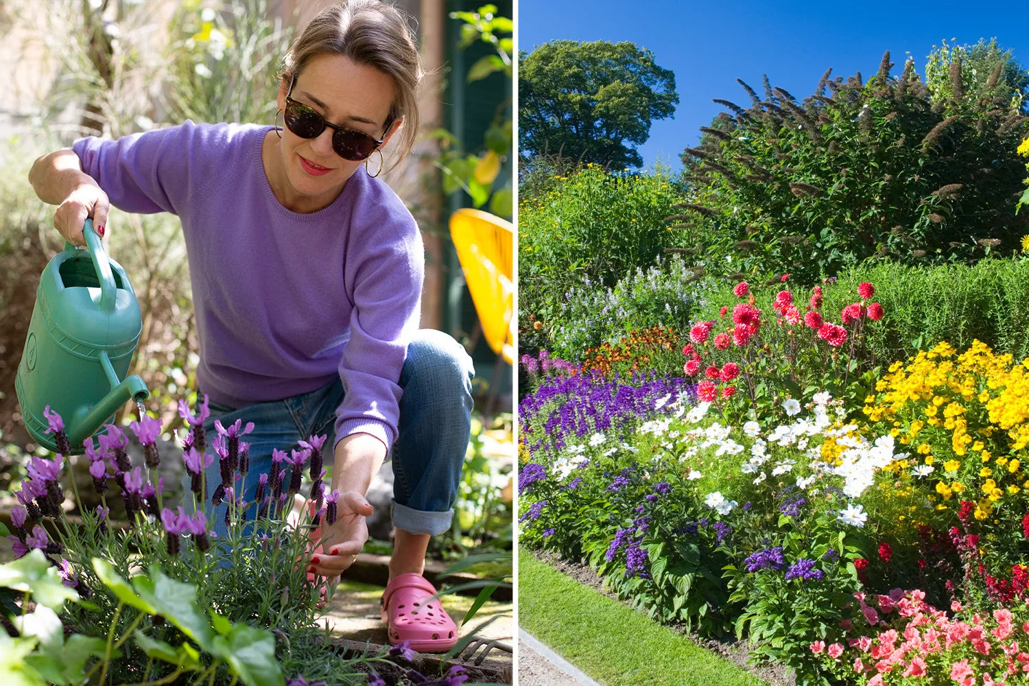 DRAW IT OUT Homeowners are turning to PAPER for their January yard work – and experts say it’s crucial they do so